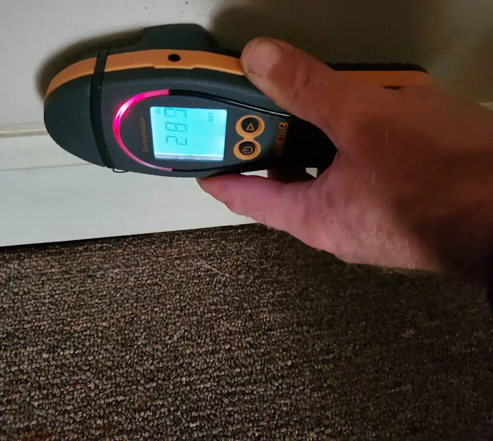 Moisture detection at baseboard during Burst Pipe Cleanup in Florence